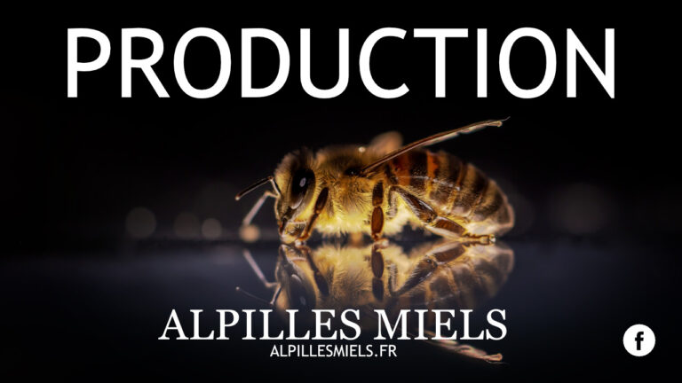 Lire la suite à propos de l’article Plus de place dans la ruche !