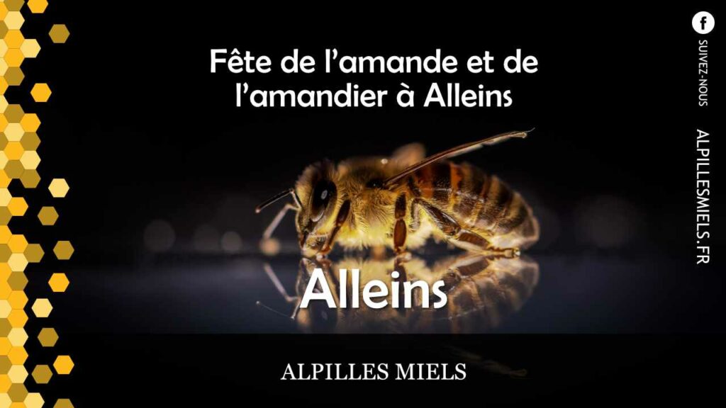 fete de l'amande et de l'amandier à Alleins Alpilles Miels