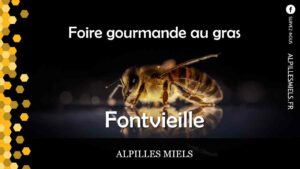 Lire la suite à propos de l’article Foire gourmande au gras à Fontvieille