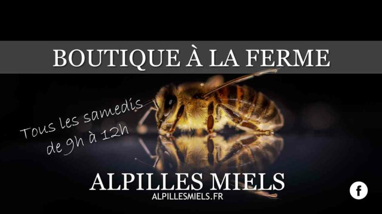 Lire la suite à propos de l’article Apiculteur vente en directe