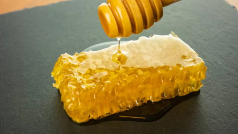 Lire la suite à propos de l’article Nous sommes dans le guide des producteurs locaux