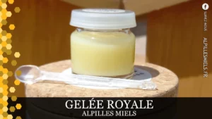 Lire la suite à propos de l’article Découvrez la Gelée Royale d’Alpilles Miels