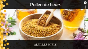 Lire la suite à propos de l’article Le Pollen de fleurs