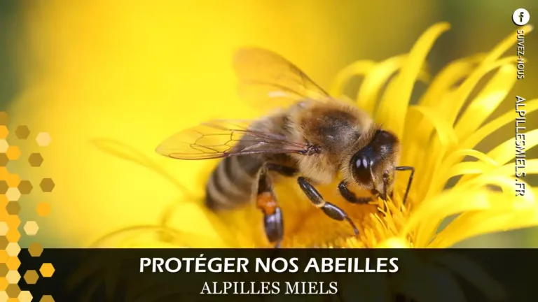 proteger nos abeilles Alpilles Miels