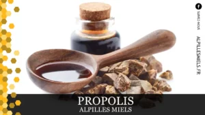 Lire la suite à propos de l’article Propolis Alpilles Miels à Aureilles