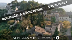 Lire la suite à propos de l’article Journée à l’Ancienne à Eygalières