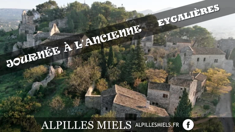Alpilles Miels à Eygalières. Miels de provence Label Rouge et IGP