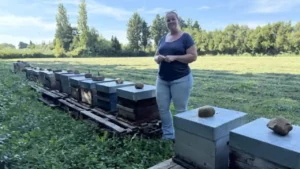Lire la suite à propos de l’article Découvrez l’article de PressAgrimed sur Alpilles Miels