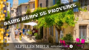 Lire la suite à propos de l’article Alpilles Miels à la foire du gras à Saint Rémy de Provence